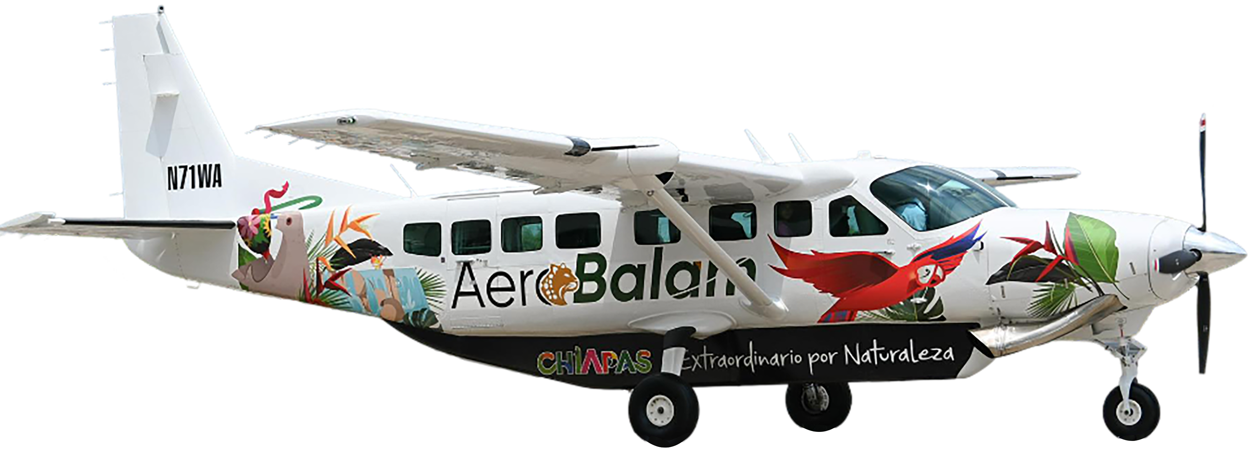 avioneta